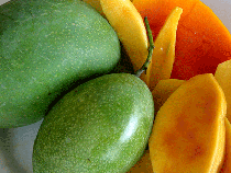 fresh mangoes