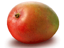 suppliers and exporters of mango