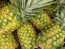 pineapple