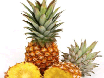 indian pineapple