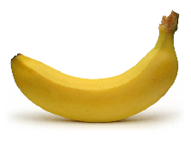 suppliers and exporters of banana