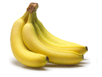 organic fresh indian banana