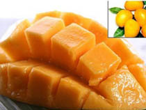 mango pulp