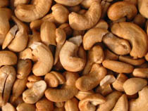 Indian Cashew Nuts