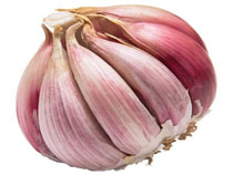 garlic