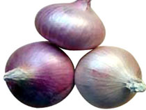 white onion