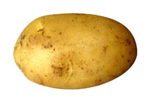 Potato