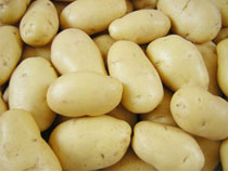 white potato